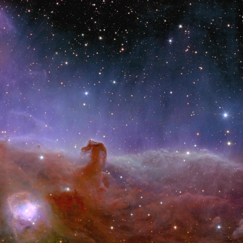 Finding a planet in Euclid’s view of the Horsehead Nebula 