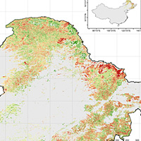 Forest cover change