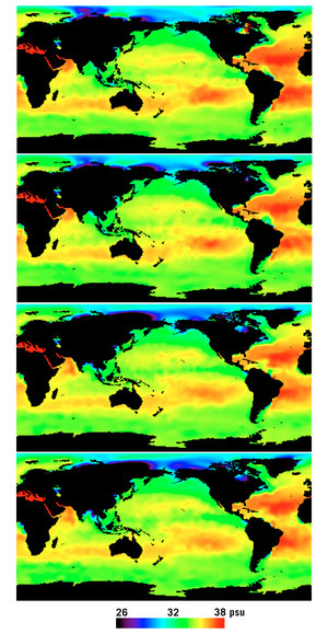 Simulated seasonal sea-surface salinty maps.