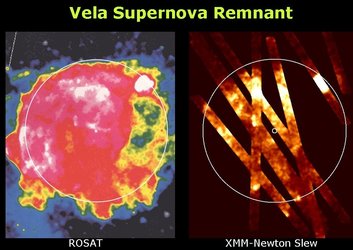 XMM-Newton slew survey of the Vela supernova remnant