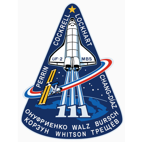 STS-111 patch, 2002