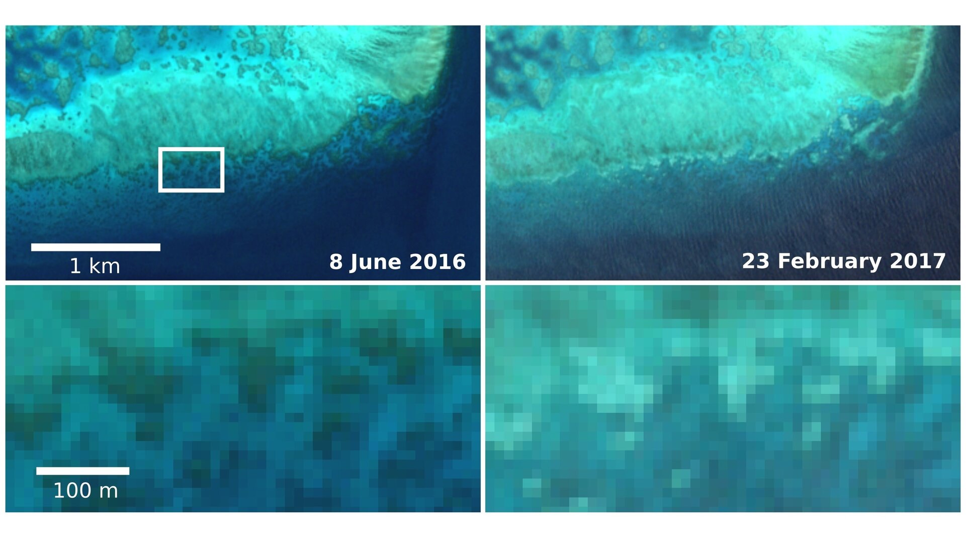 Sentinel-2 captures coral bleaching