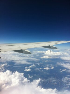 Blue skies above an aircraft wing