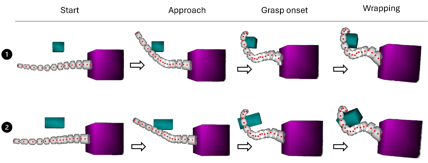 Phases of whole-arm grasping of cuboidal satellites. Top row (Case 1): grasping of a small cuboid. Bottom row (Case 2): grasping of a larger cuboid. In both cases, the proximal section performs the approach, while the distal sectionexecutes the wrapping, resulting in stable whole-arm capture.