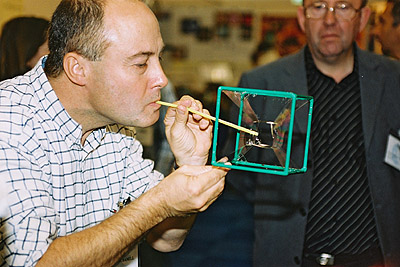 A delegate blows unusual-shaped bubbles