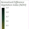 NDVI legend