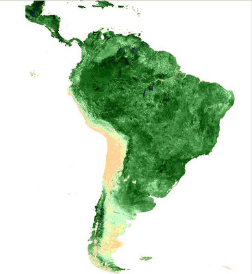 SPOT NDVI image composite over South America