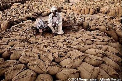 Farmer in Ludhiana