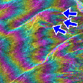 SAR interferogram over Gruben area