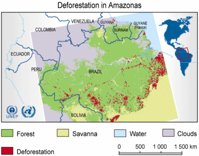 Deforestation in Amazonas