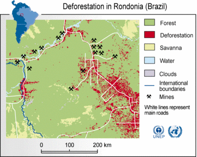 Deforestation in Rondonia