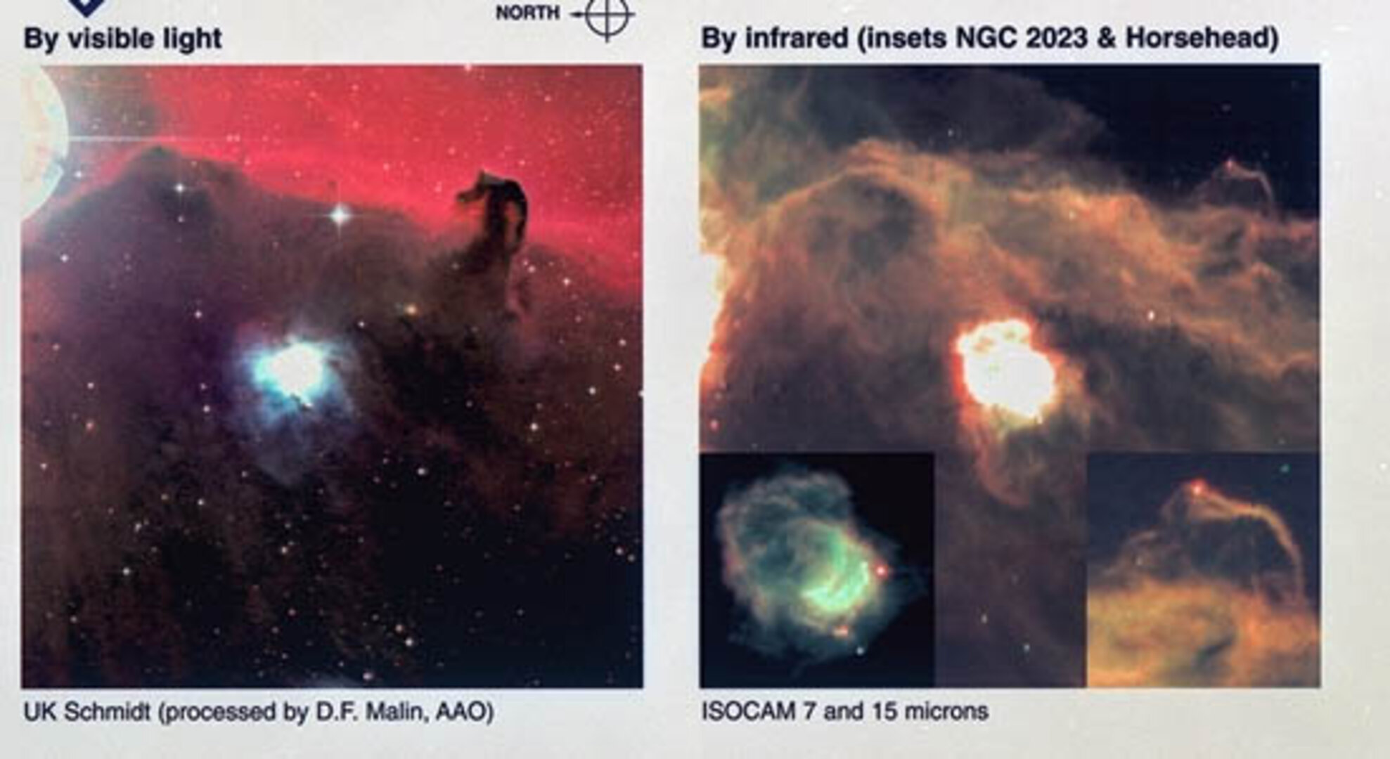 horsehead nebula high resolution