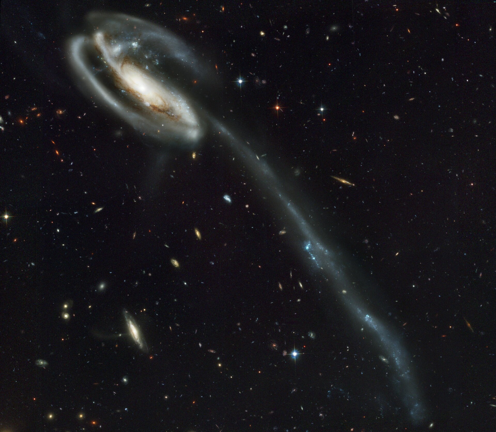 UGC 10214, Tadpole Galaxy