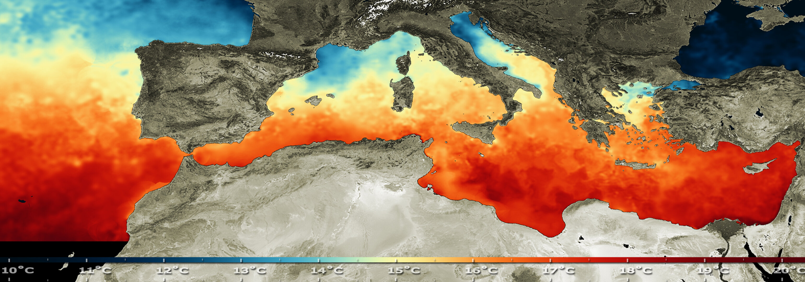 Sea surface temperature