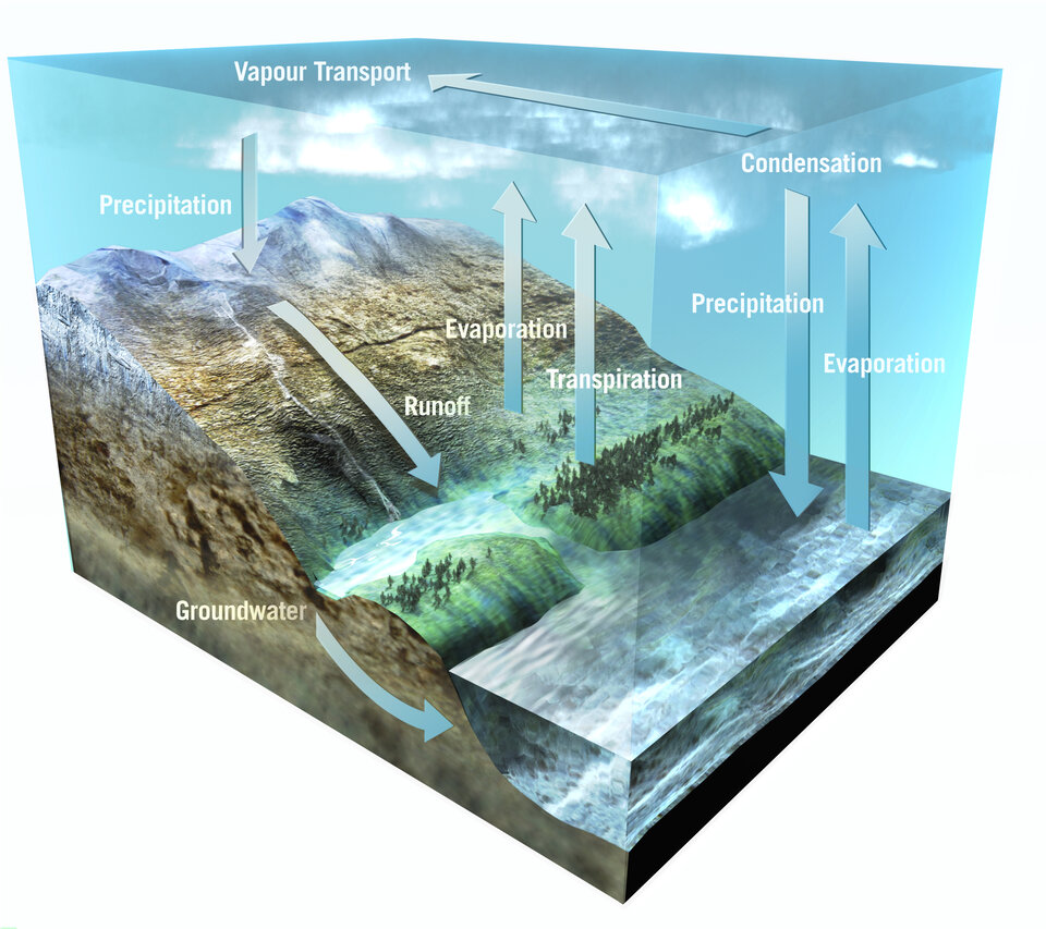 The water cycle