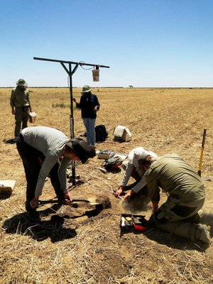 Taking in soil moisture measurements