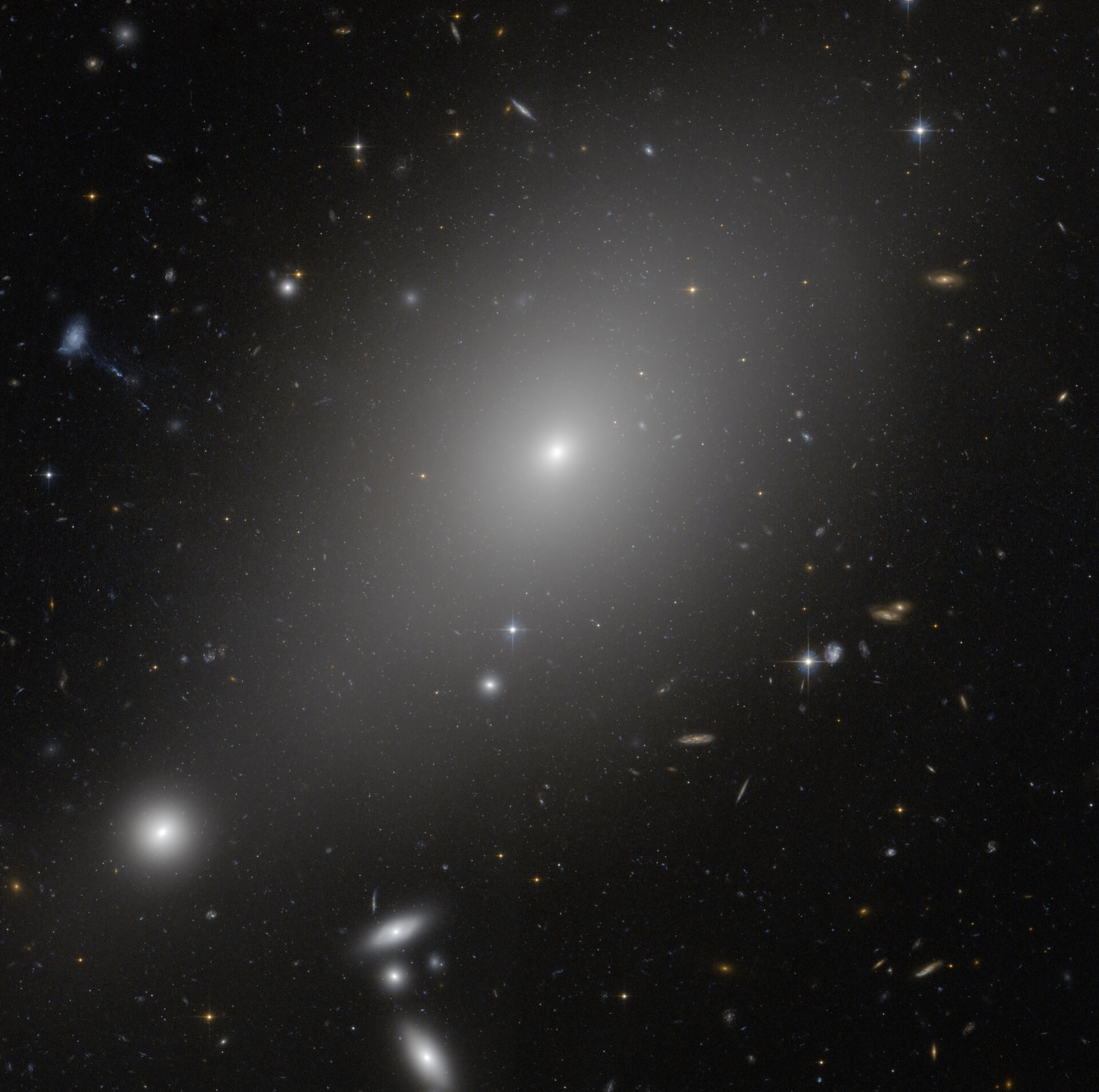 According To Our Current Understanding Giant Elliptical Galaxies Form