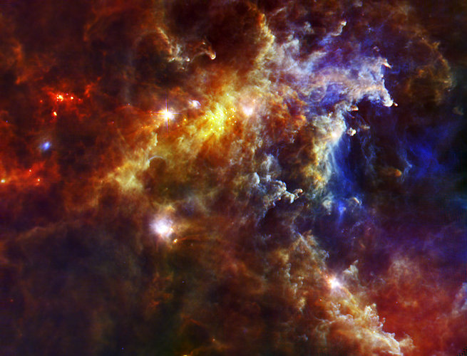 The Rosette molecular cloud, seen by Herschel