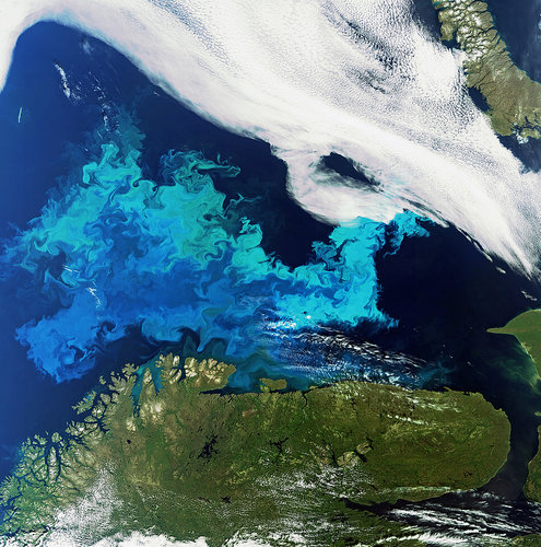 Phytoplankton bloom captured by Envisat