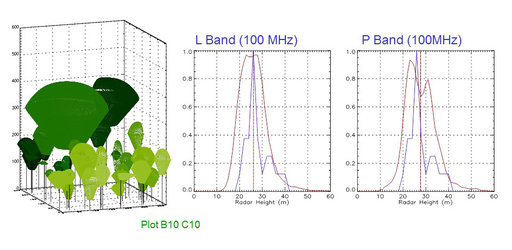 Visualised forest plot