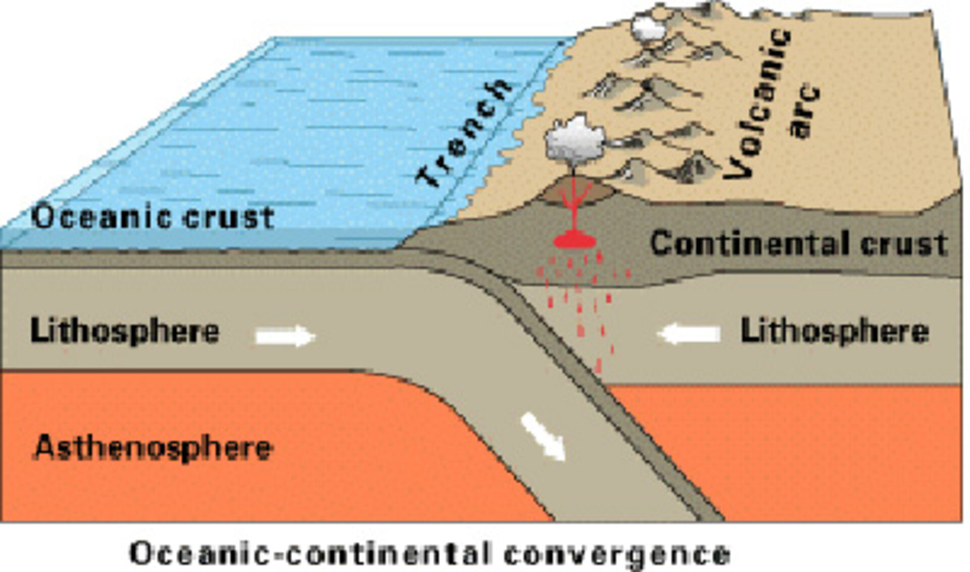 Ocean Continent Convergence