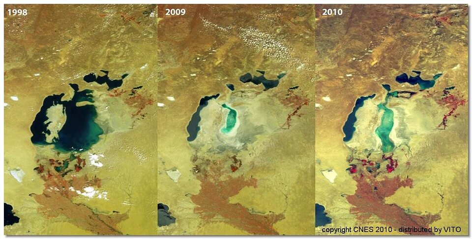 De ecologische catastrofe van het Aralmeer, gezien door Vegetation