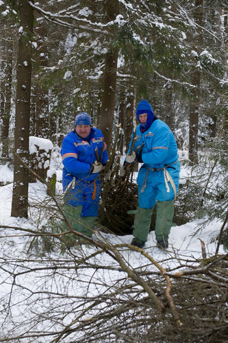 Andreas collecting wood