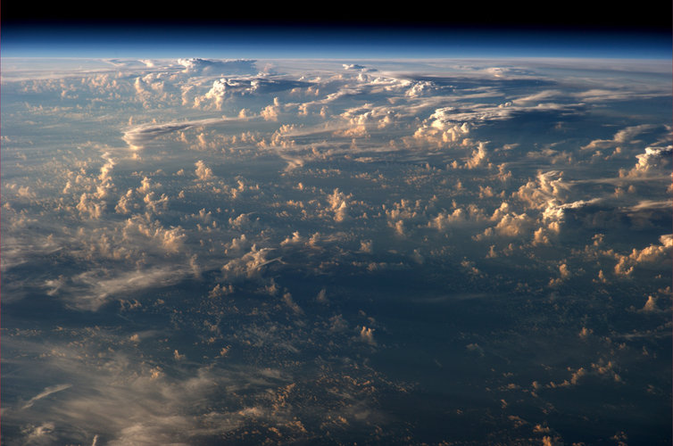 Typhoon Halong from space