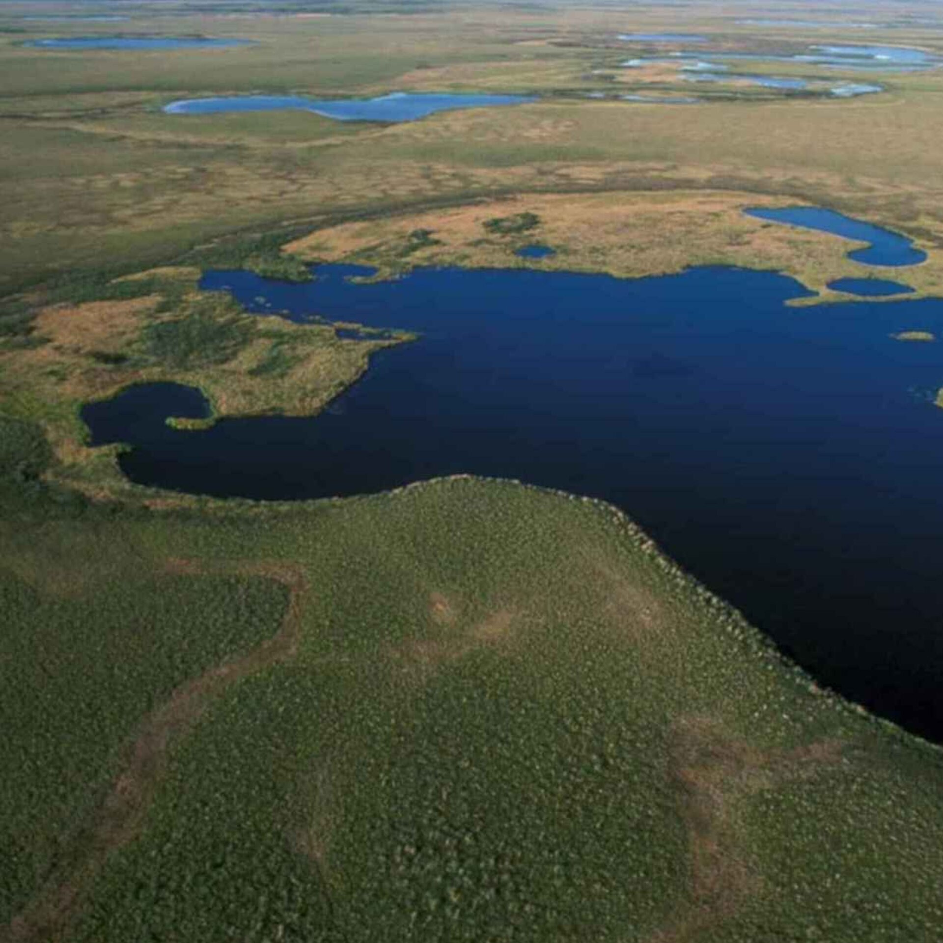 Aerial view of National Park Wetlands