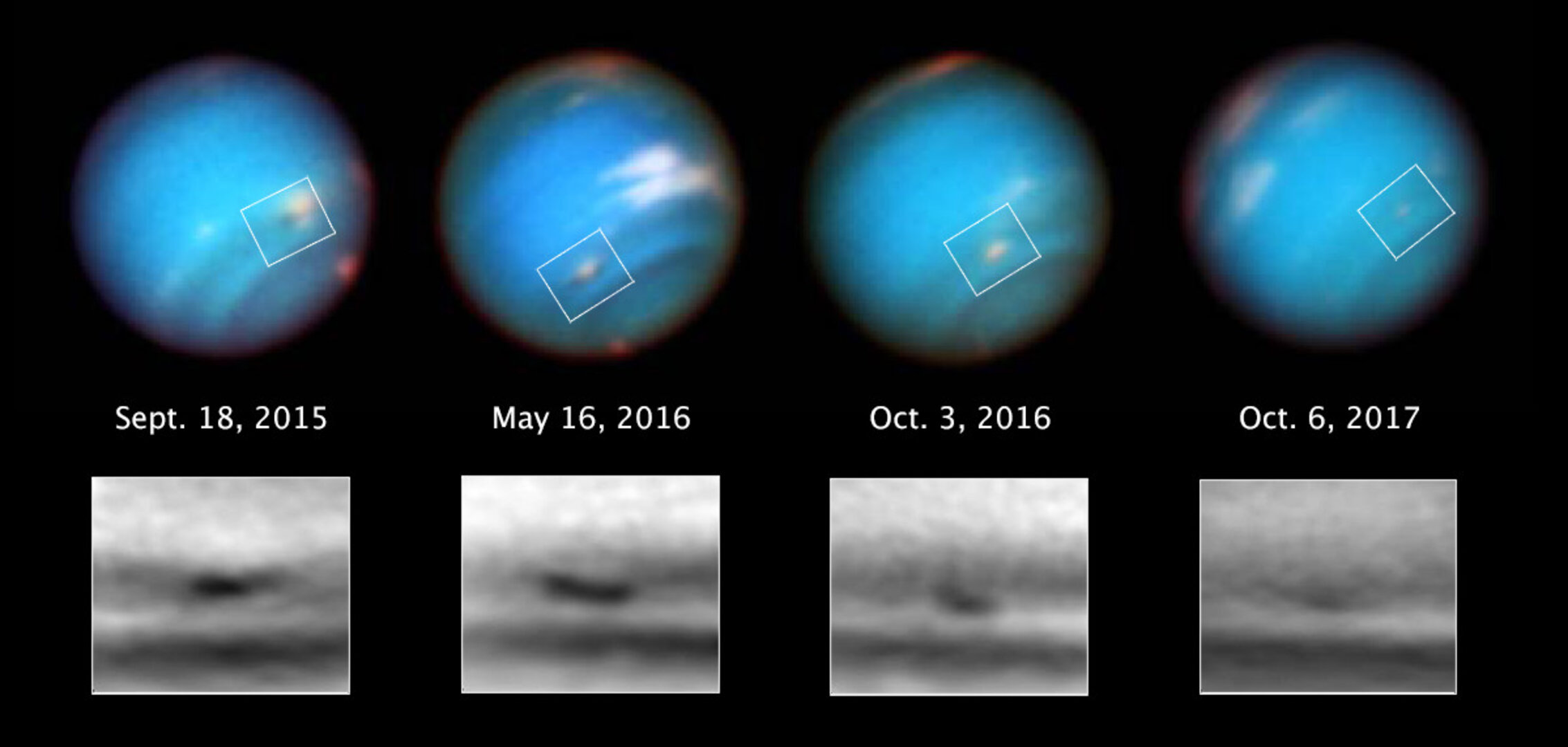 Neptune’s shrinking vortex