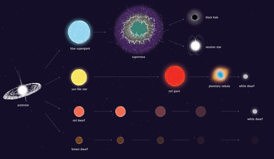 Stellar evolution