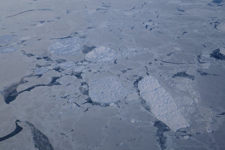 Arctic sea ice