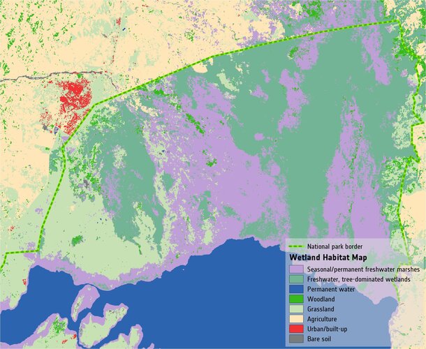 Wetland habitat map of Lake George