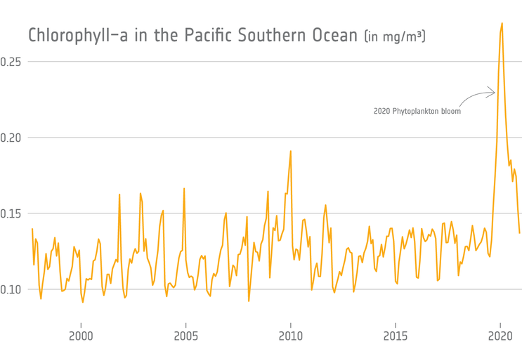 Chlorophyll-a in the Pacific Southern Ocean