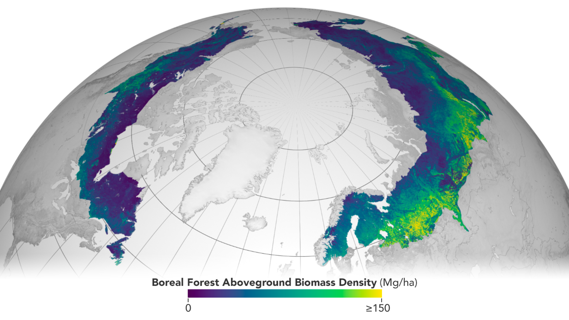 Floresta Boreal acima da densidade de biomassa terrestre
