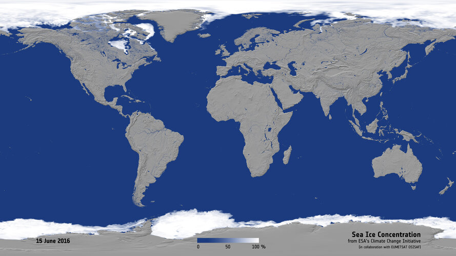 Global sea ice concentration