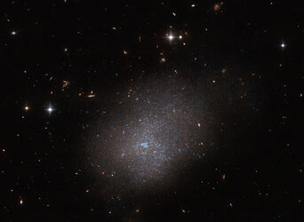 A sparkling galactic neighbour