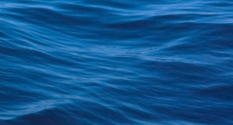 Ocean health ocean acidification link icon