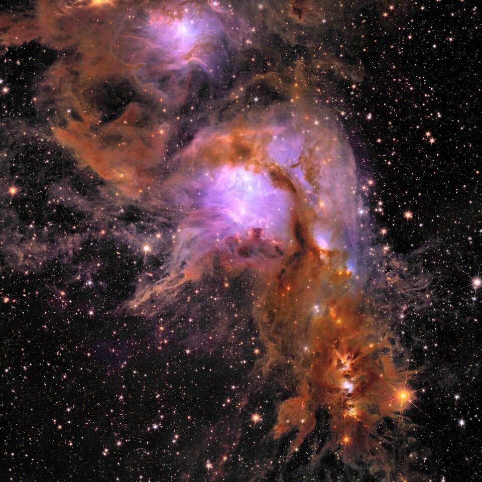 Nouvelle image d'Euclid de la pouponnière d’étoiles Messier 78