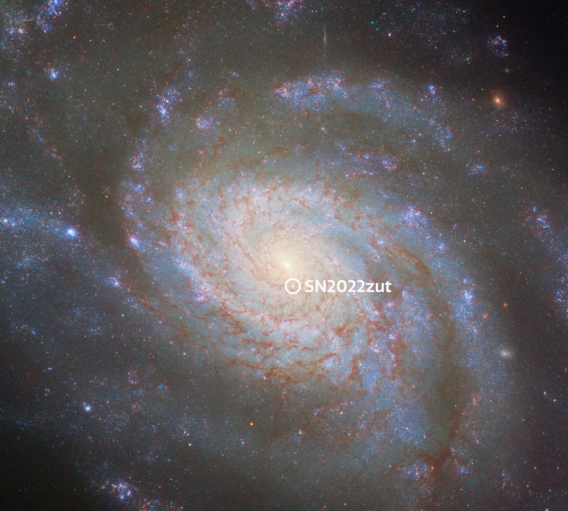 NGC 3810 with annotated supernova